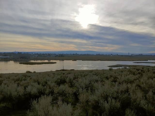 Wildlife Viewing Platform - Image 1