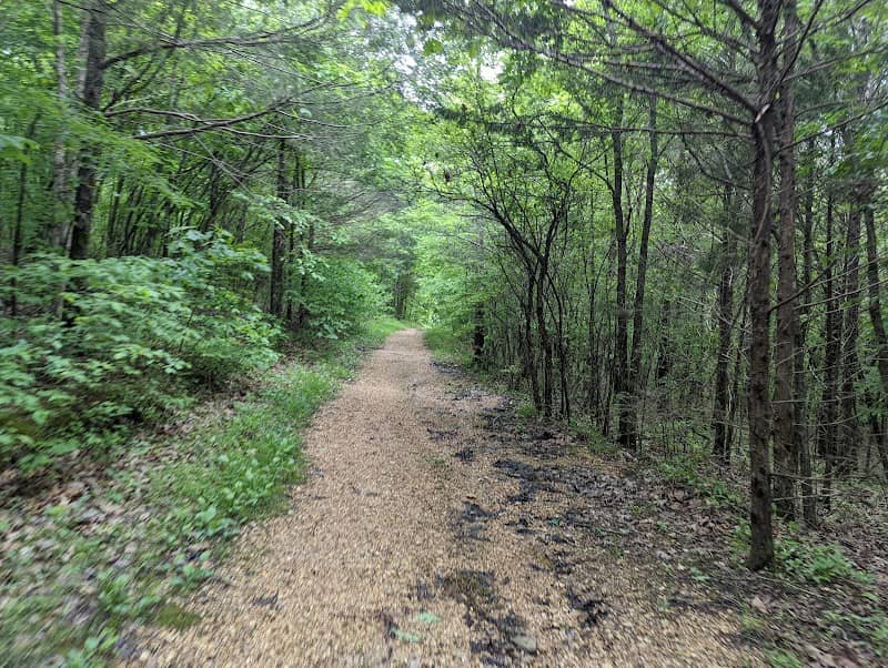 Busiek State Forest and Wildlife Area - Image 1