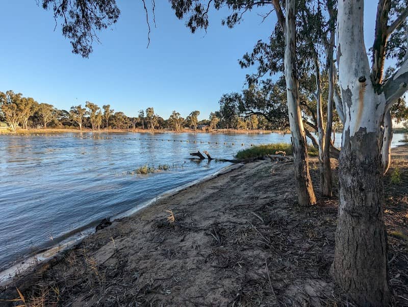 Murray River National Park - Image 1
