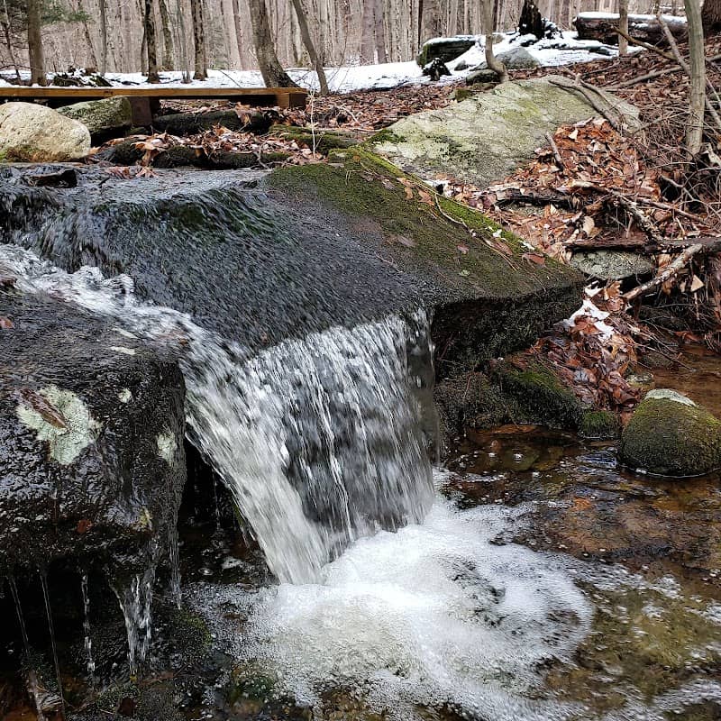 Cave Hill Conservation Area - Image 1