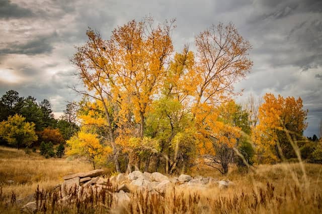 Memmen Ridge Open Space - Image 3