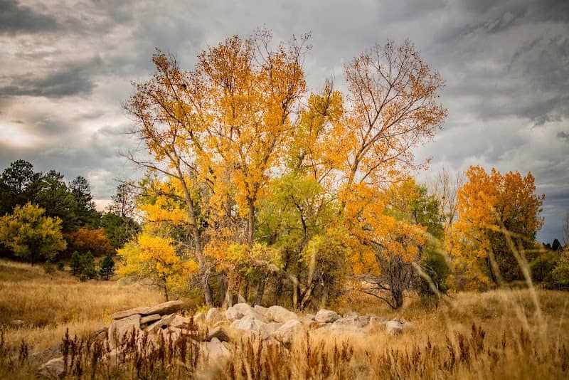 Memmen Ridge Open Space - Image 3