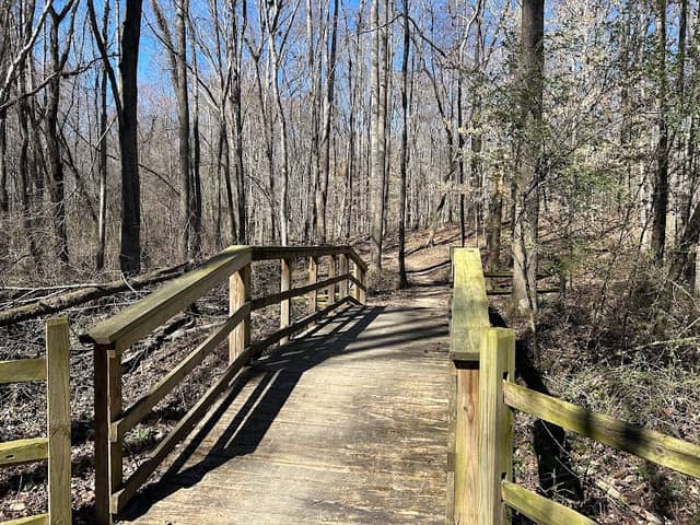 Salisbury Community Park Bike Trails - Image 1