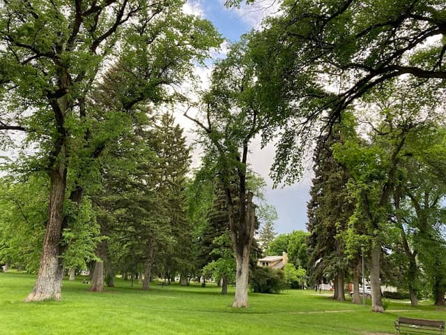 Cooper Park - Image 1
