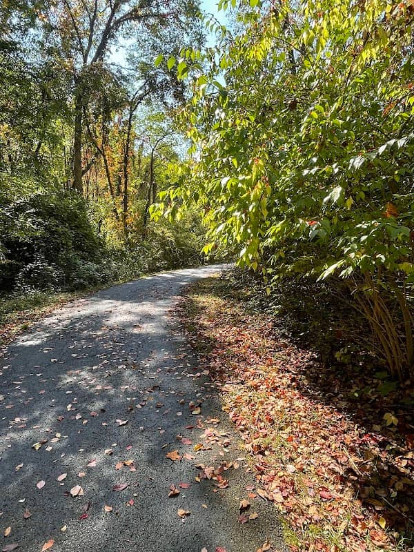 Kent State Nature Preserve - Image 1