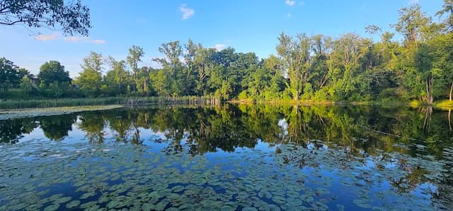 Kent State Nature Preserve - Image 2