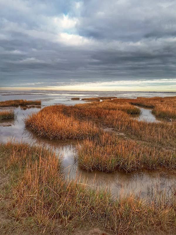 RSPB Marshside - Image 3