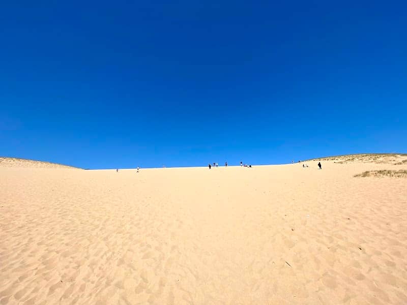 Dune Climb - Image 3