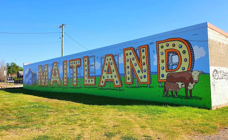 Maitland Mural - Image 2