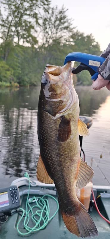 Hampton Ponds - Image 2