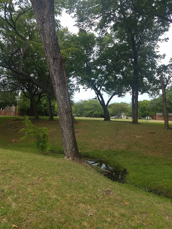 Stanford Park - Image 1