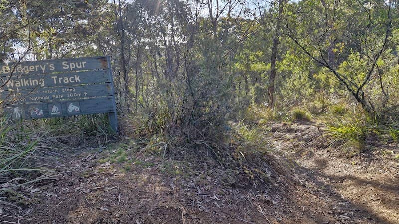 Badgery's Lookout - Image 2