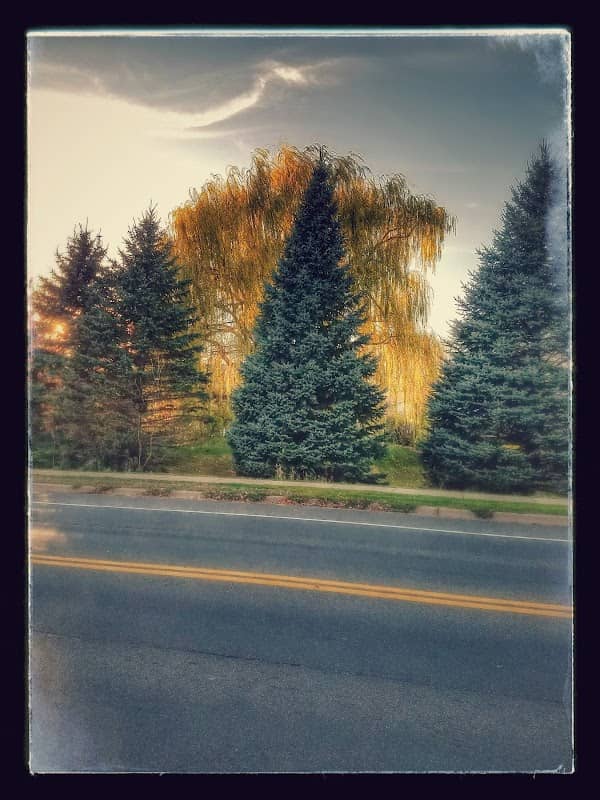 Trost Park - Image 3