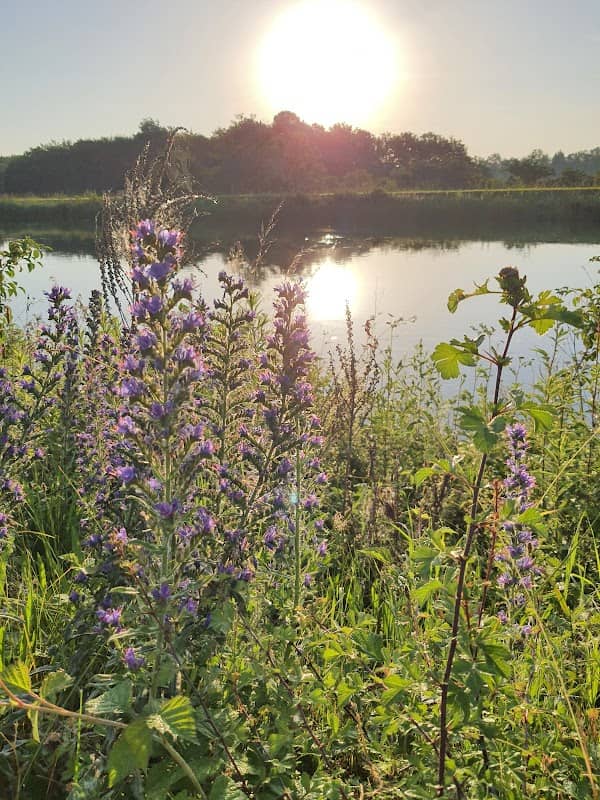 Lechkanal - Image 1