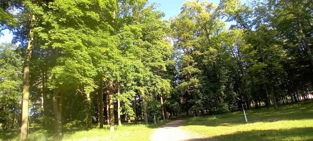 Park Miejski - Opalenica - Image 1