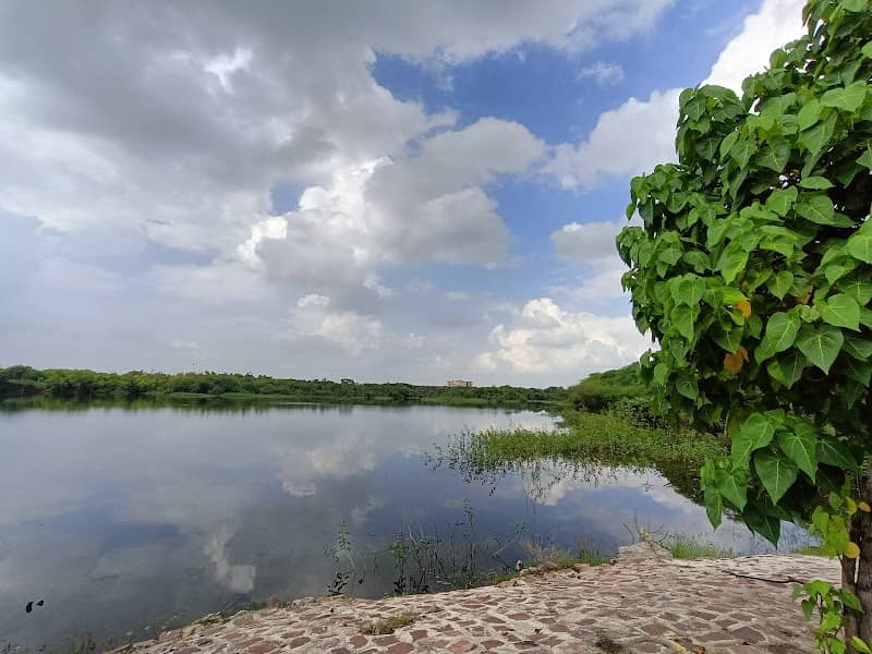 View Point - Image 1