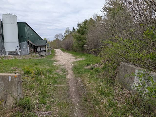 Sebago to the Sea Trail Section 4 - Image 2