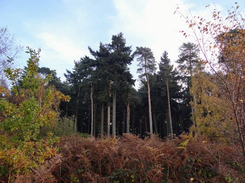 Weeford Park - Image 1