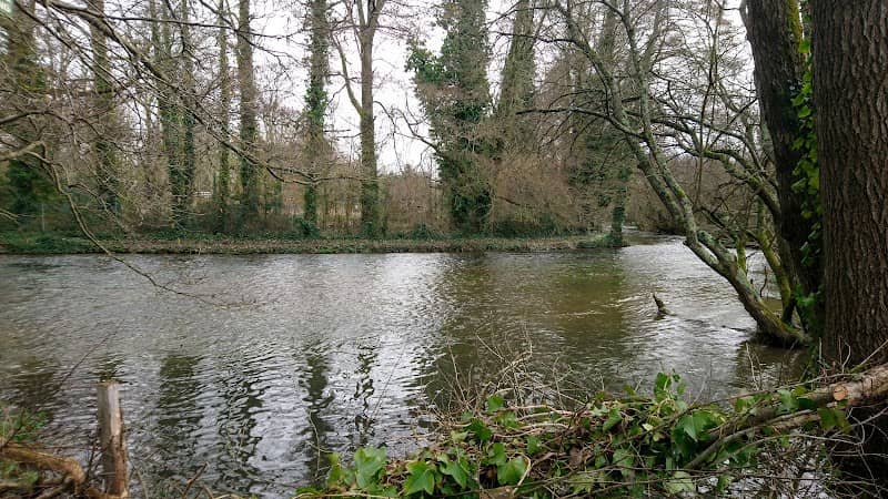 Itchen Navigation Brambridge - Image 2