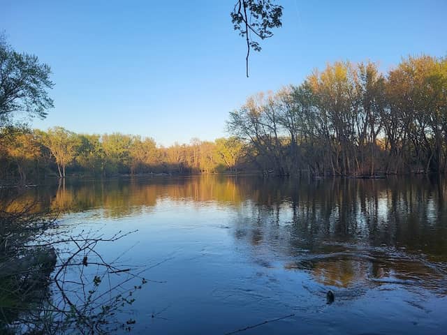 Bailey Point Nature Preserve - Image 2