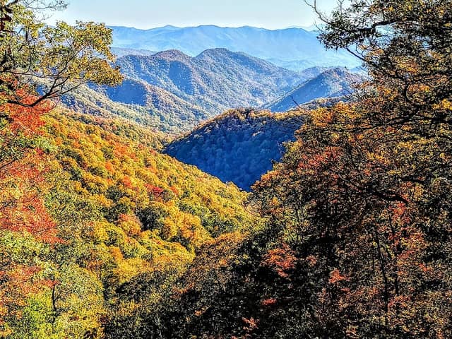 Charles A Webb Overlook - Image 1