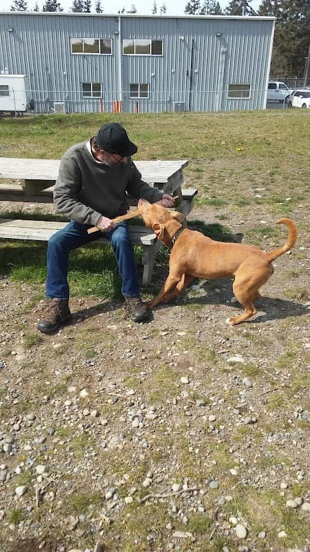 Technical Drive Off-leash Dog Park - Image 2