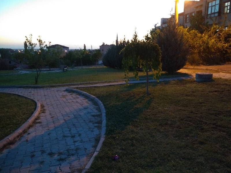 park - Image 1