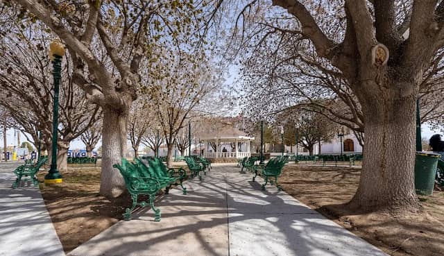 San Elizario Placita - Image 2
