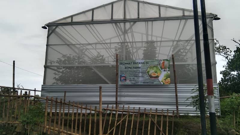 Boni farm - Image 1