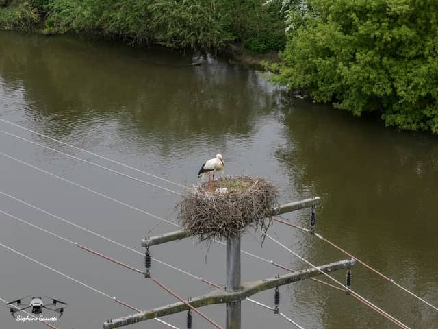 Storchennest Nr.1 - Image 1