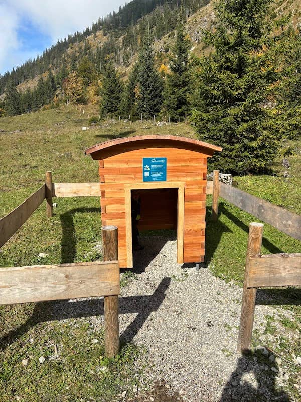 Bertis Schatzkiste Uff d‘r Alp - Image 1
