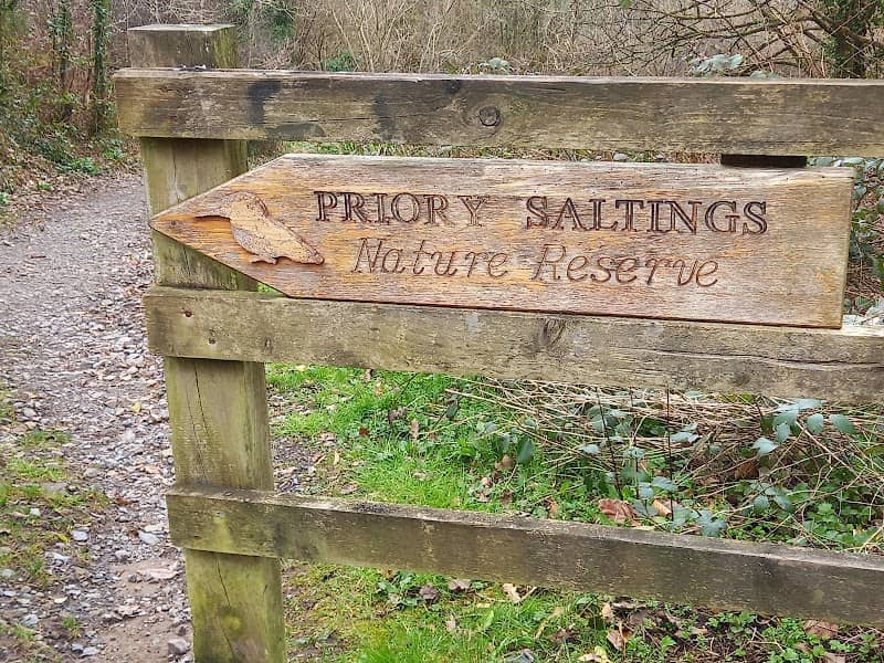 Priory Saltings Nature Reserve - Image 1
