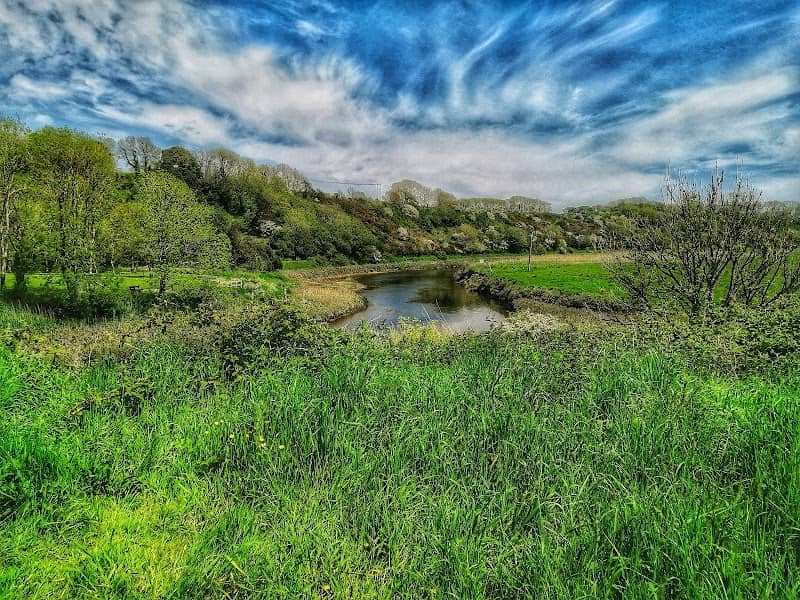 Priory Saltings Nature Reserve - Image 2