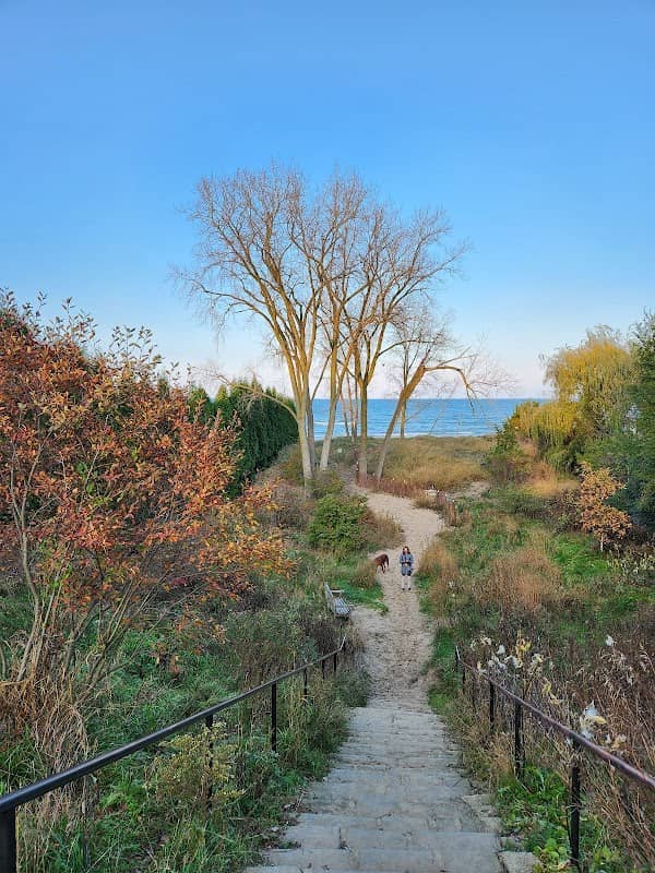 Elmwood Dunes Preserve - Image 1