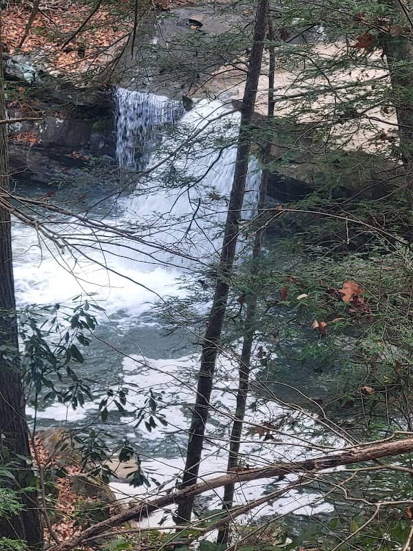 Deckers Creek Trail: Masontown Trailhead - Image 1