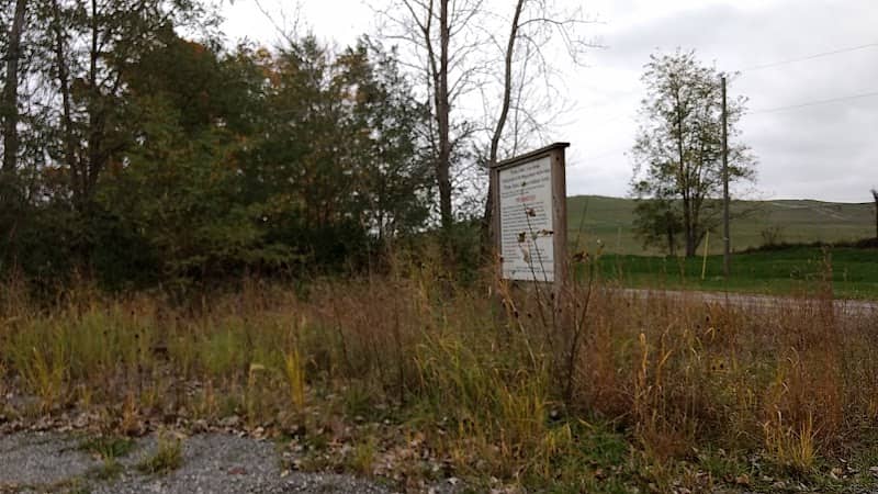 Three Oaks conservation area - Image 2