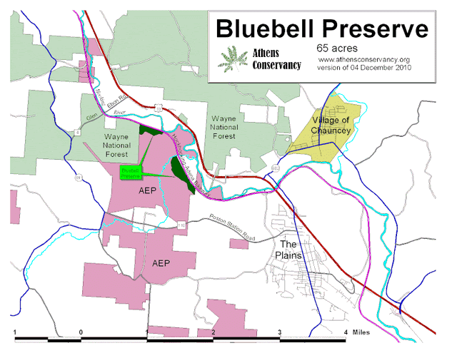 Bluebell Preserve - Image 2