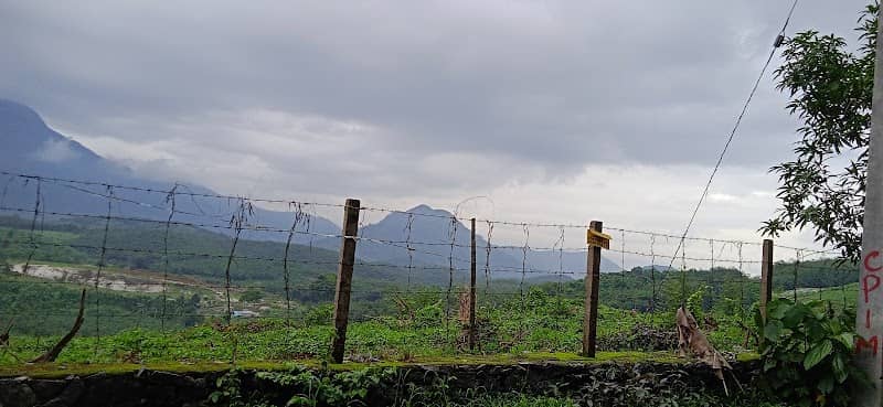 Myladi river view - Image 2