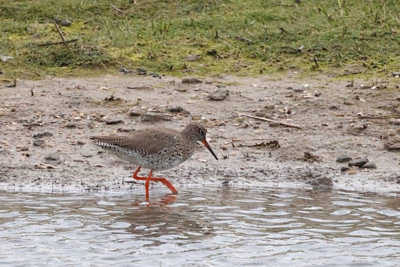 Nel’s Hide - Image 2