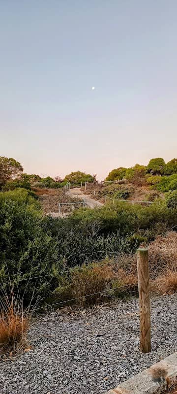 CUD Swamp - Image 1