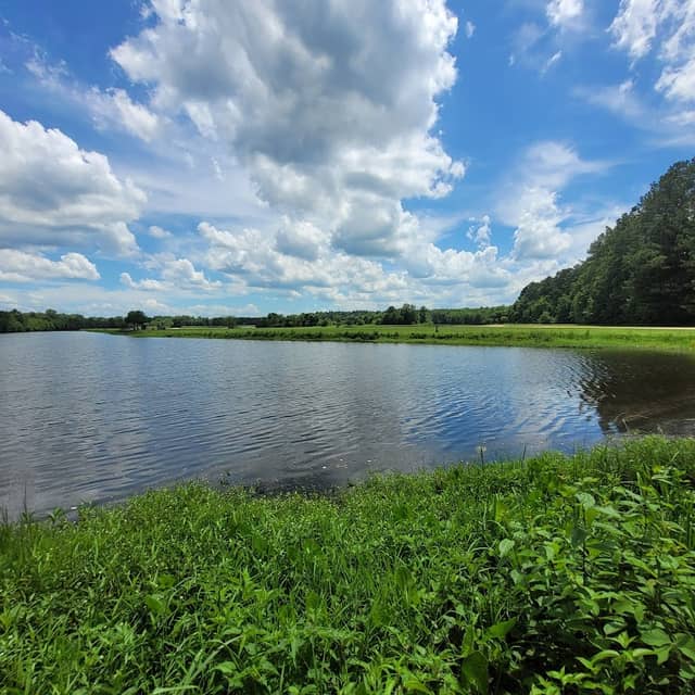 Lake Tobesofkee Duck Ponds - Image 2