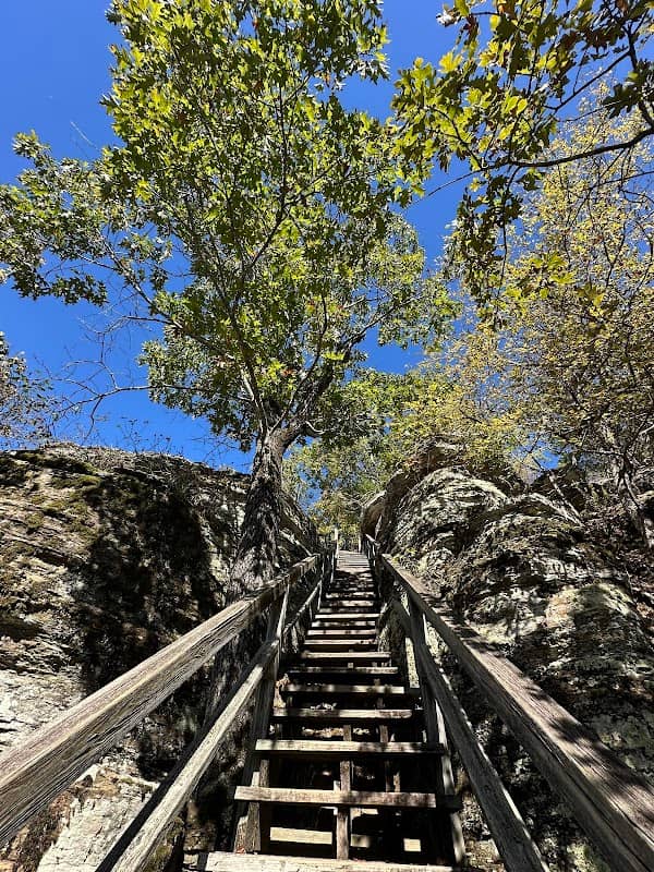 Sugar Loaf Mountain Nature Trail - Image 2