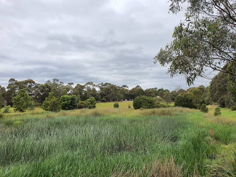 Wurundjeri Wetlands - Image 2