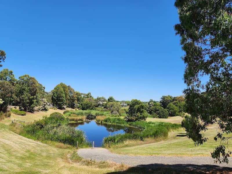 Wurundjeri Wetlands - Image 1