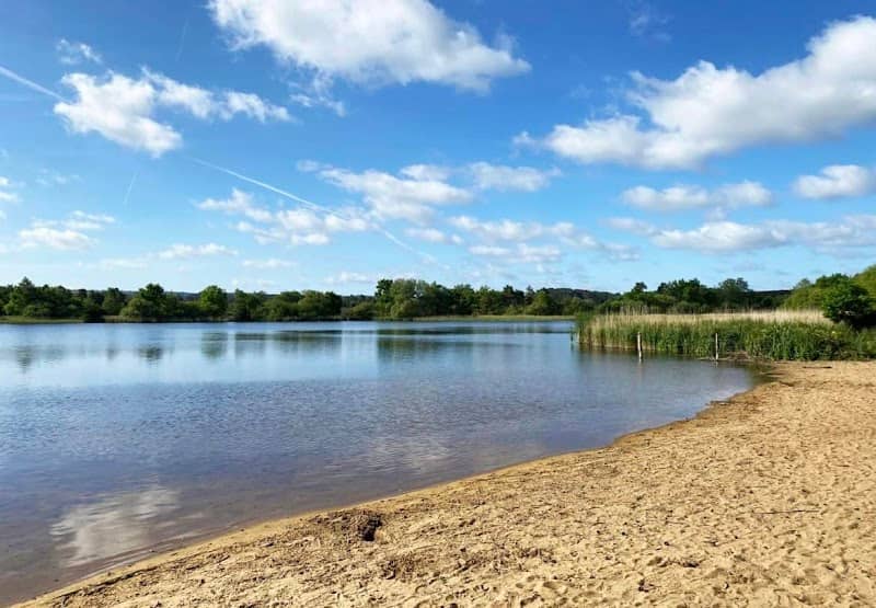 Frensham Great Pond - Image 3