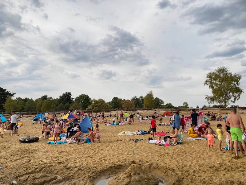 Frensham Great Pond - Image 1