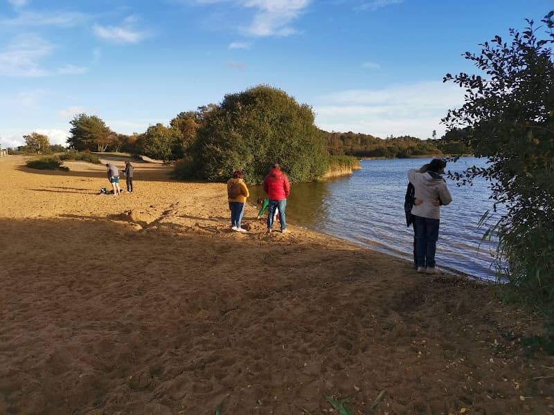 Frensham Great Pond - Image 2