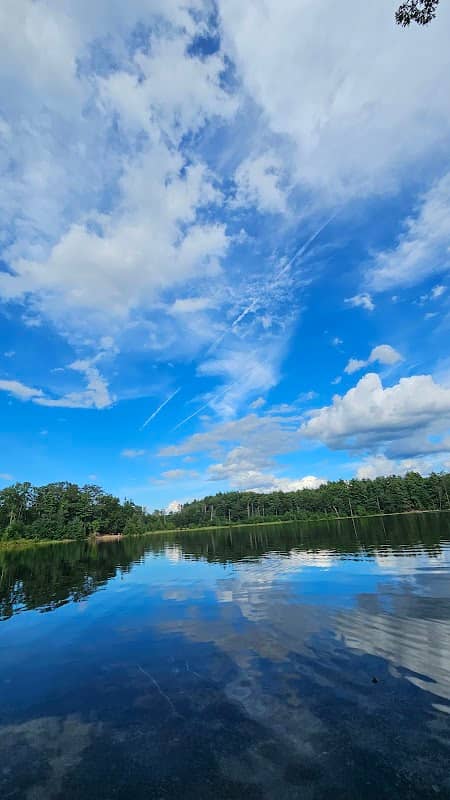 Willand Pond - Image 1