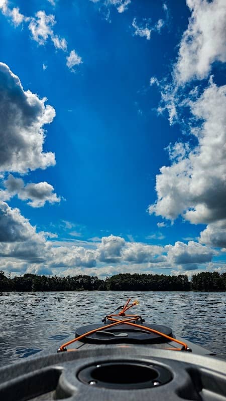 Willand Pond - Image 2