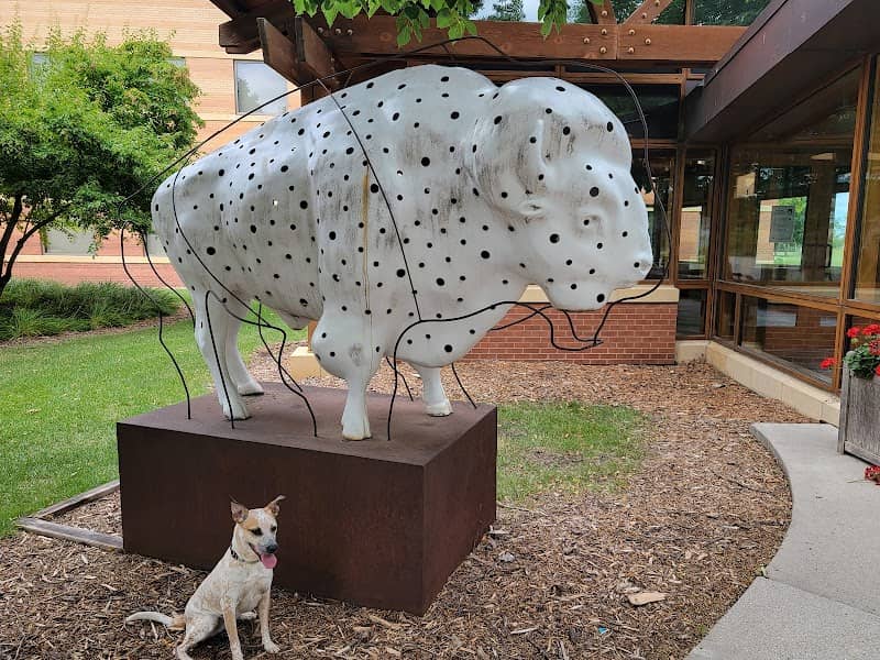 Microsoft Bison - Image 1